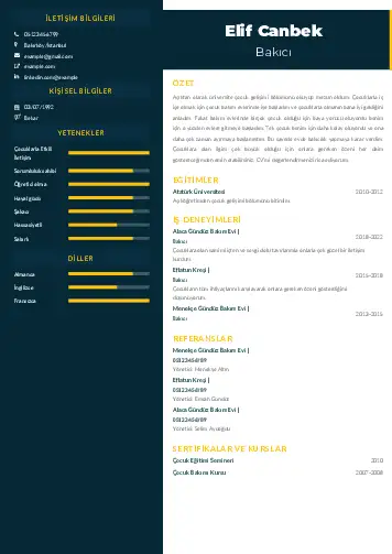 Bakıcı Cv Örnekleri cv indir